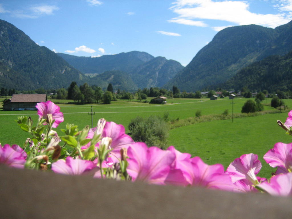 Appartement Weissbacher Lofer Rom bilde